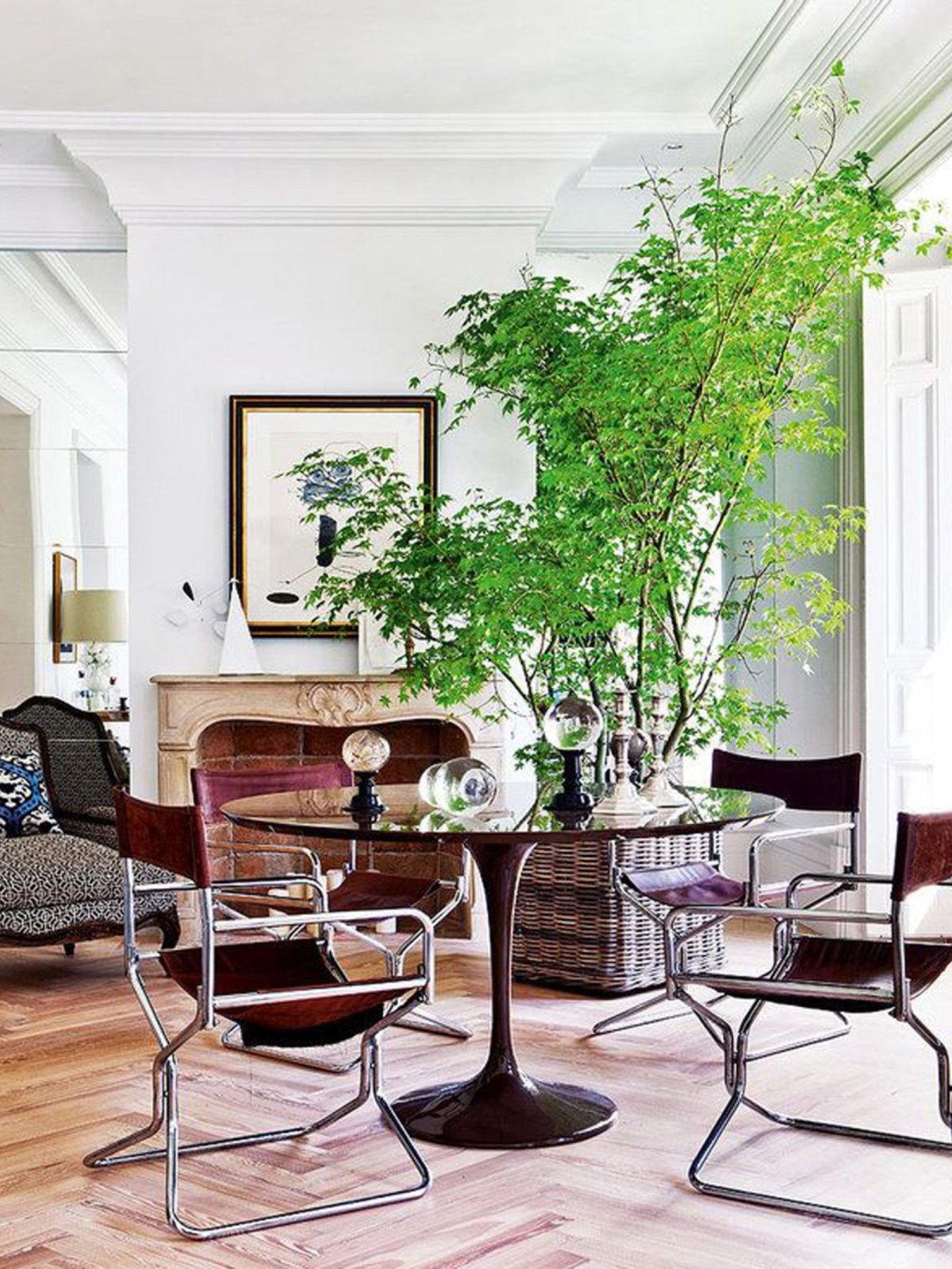 Растения в интерьере