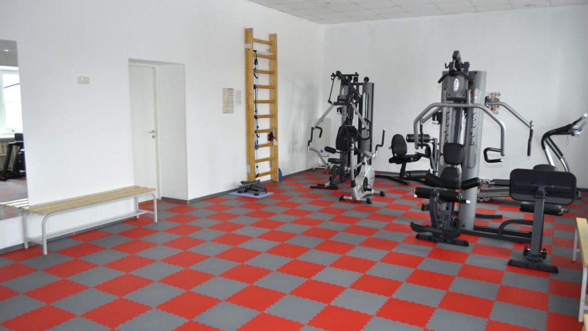 Спортивный линолеум Tarkett Omnisports r65