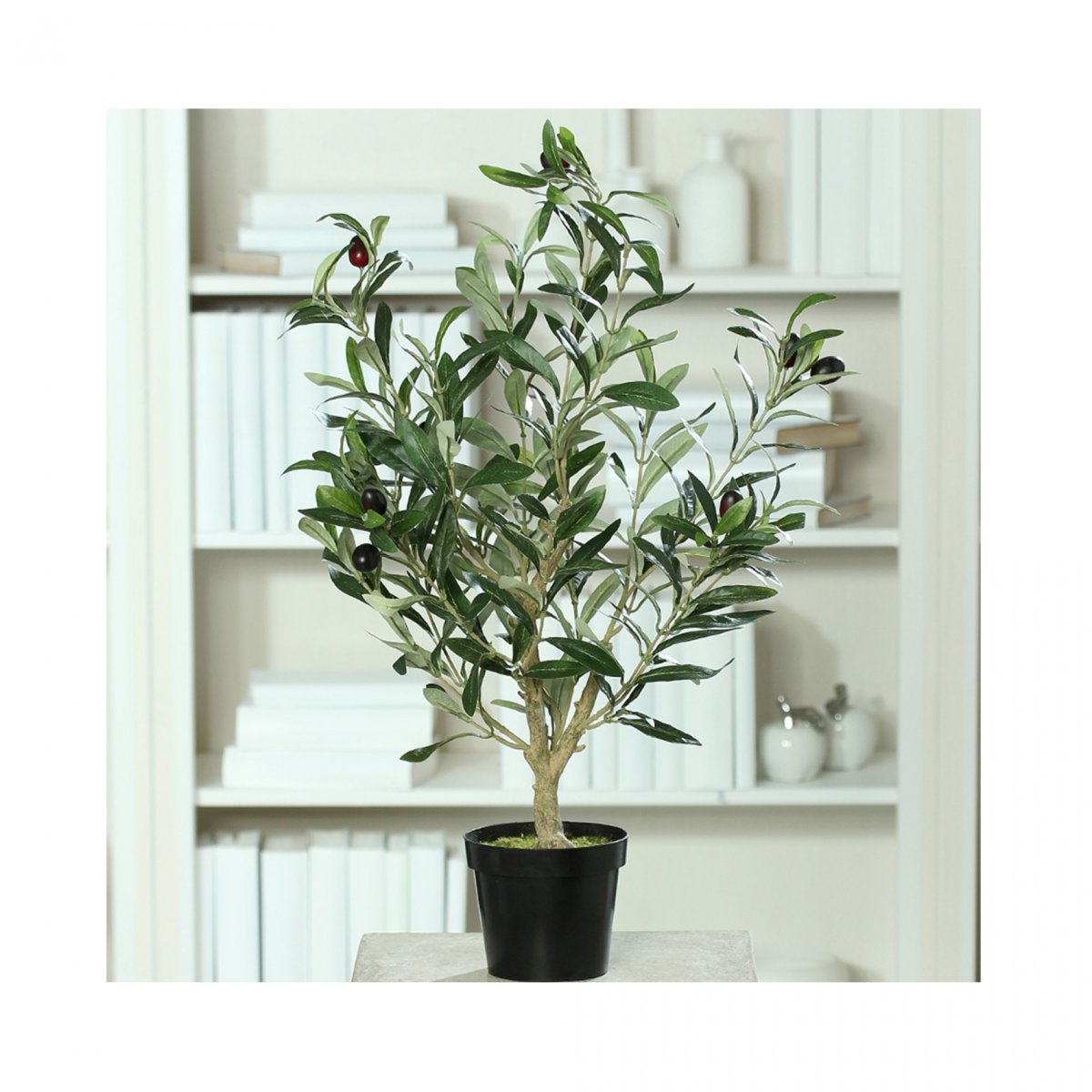 Оливковое дерево в интерьере