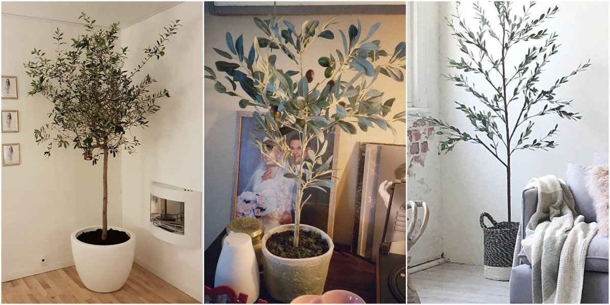 Интерьер в оливковых тонах