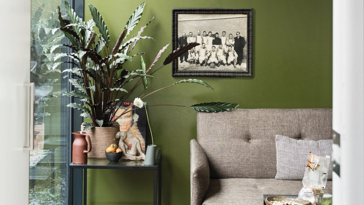 Оливковое дерево в интерьере