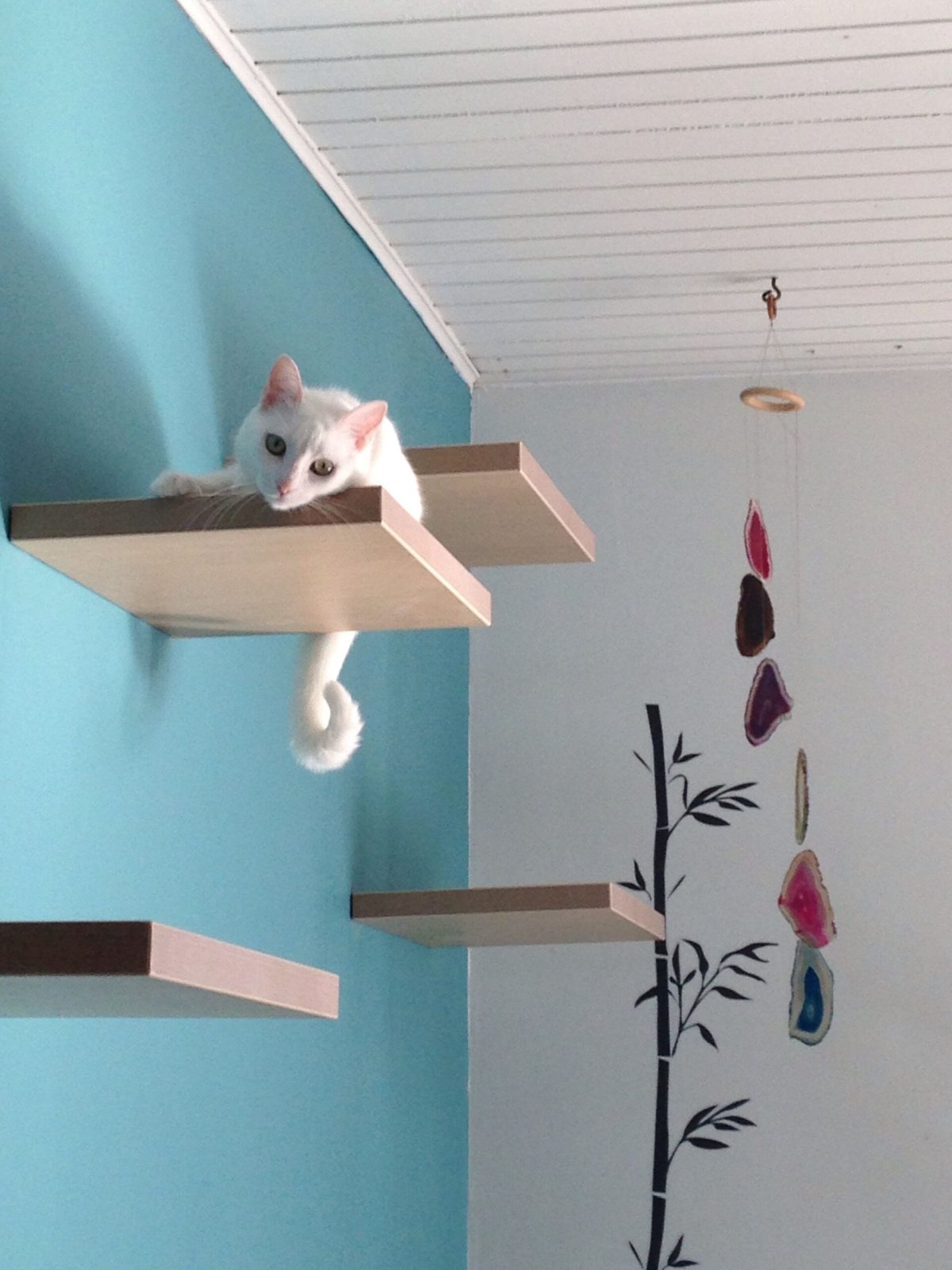 Полка для кошки