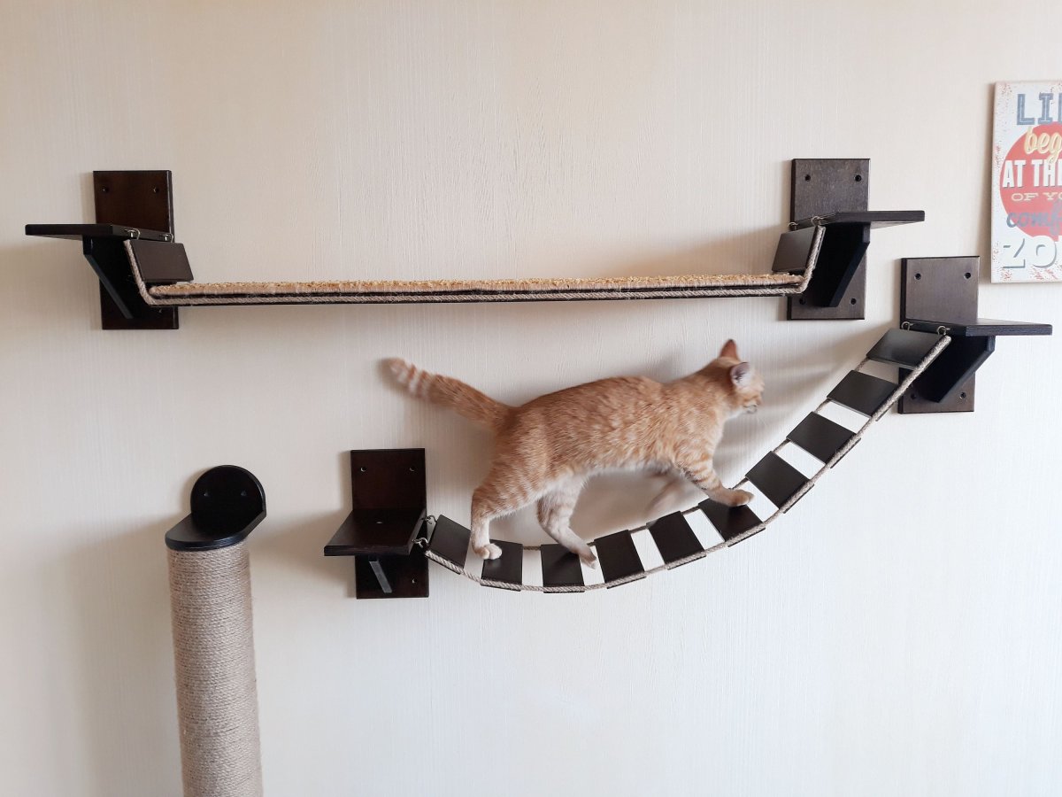 Кошачья лазалка
