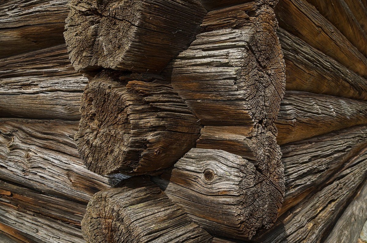 Бревенчатая баня фон