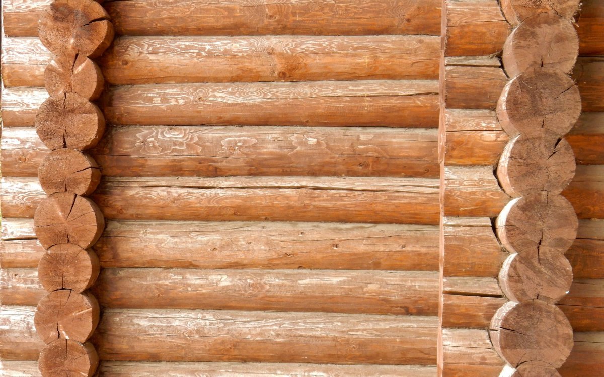 Старые бревна