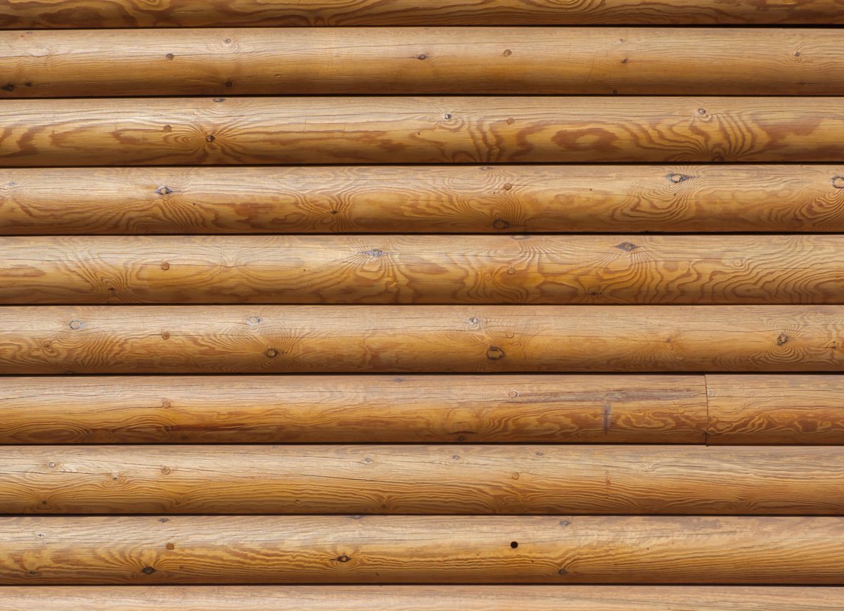 Торец бруса текстура бесшовная