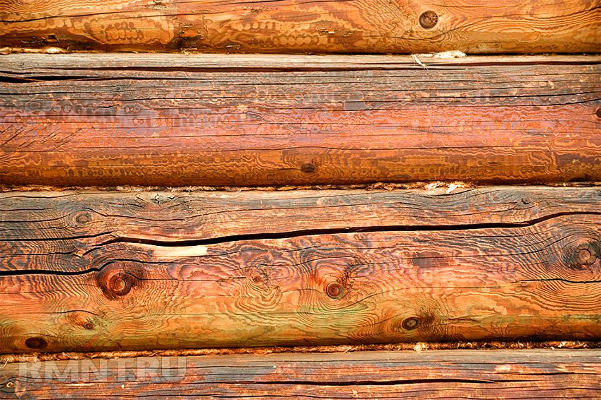 Браширование оцилиндрованного бревна