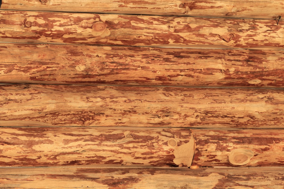 Бревенчатые стены в интерьере