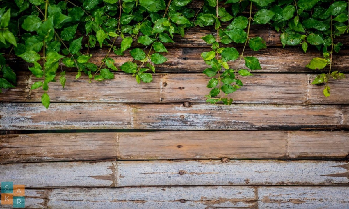 Внутренняя отделка деревянных домов