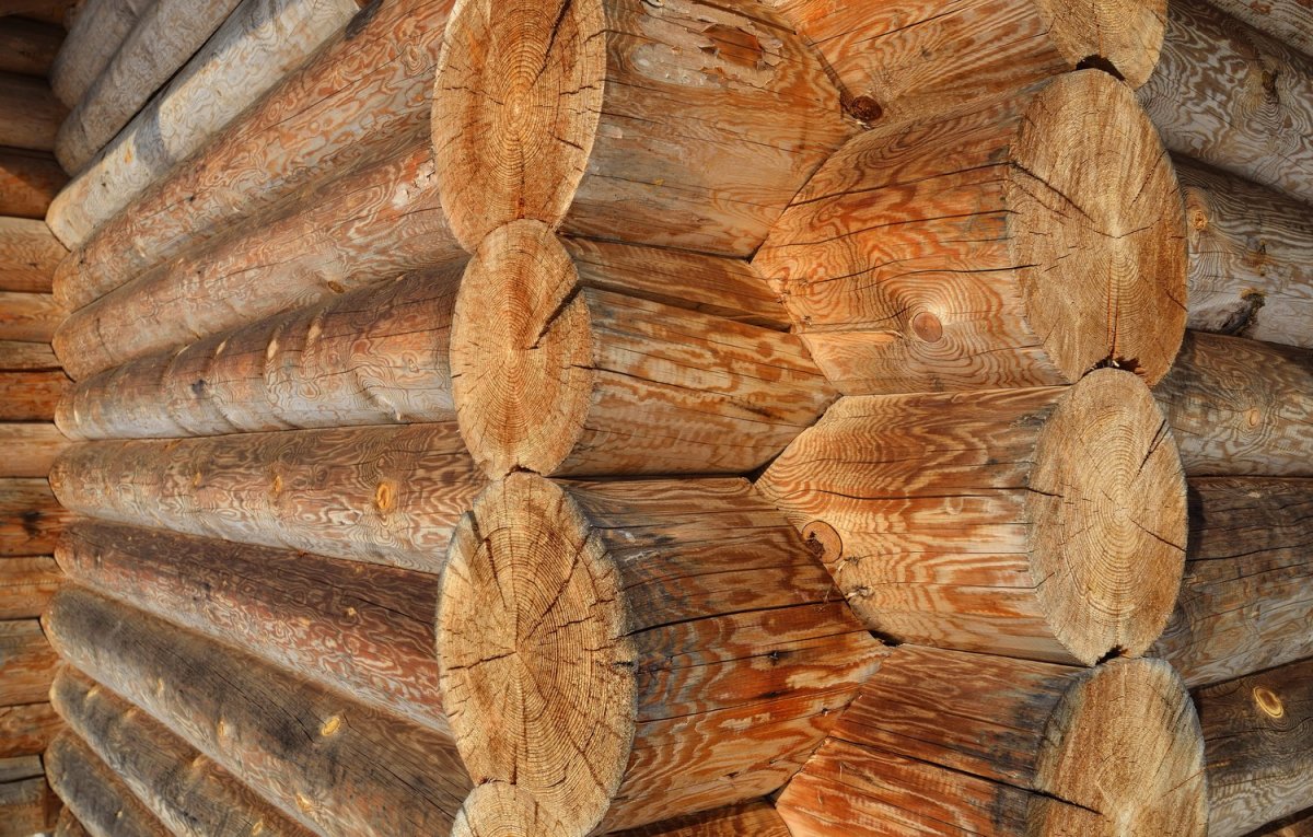 Текстура доски