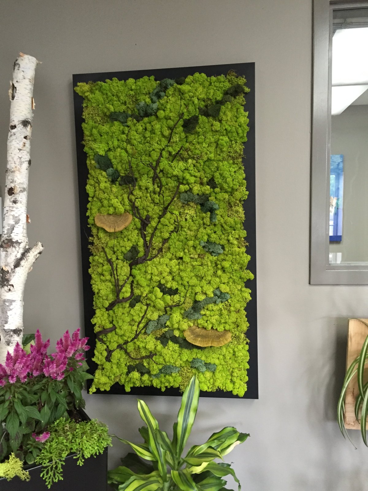 Фитопанели мох