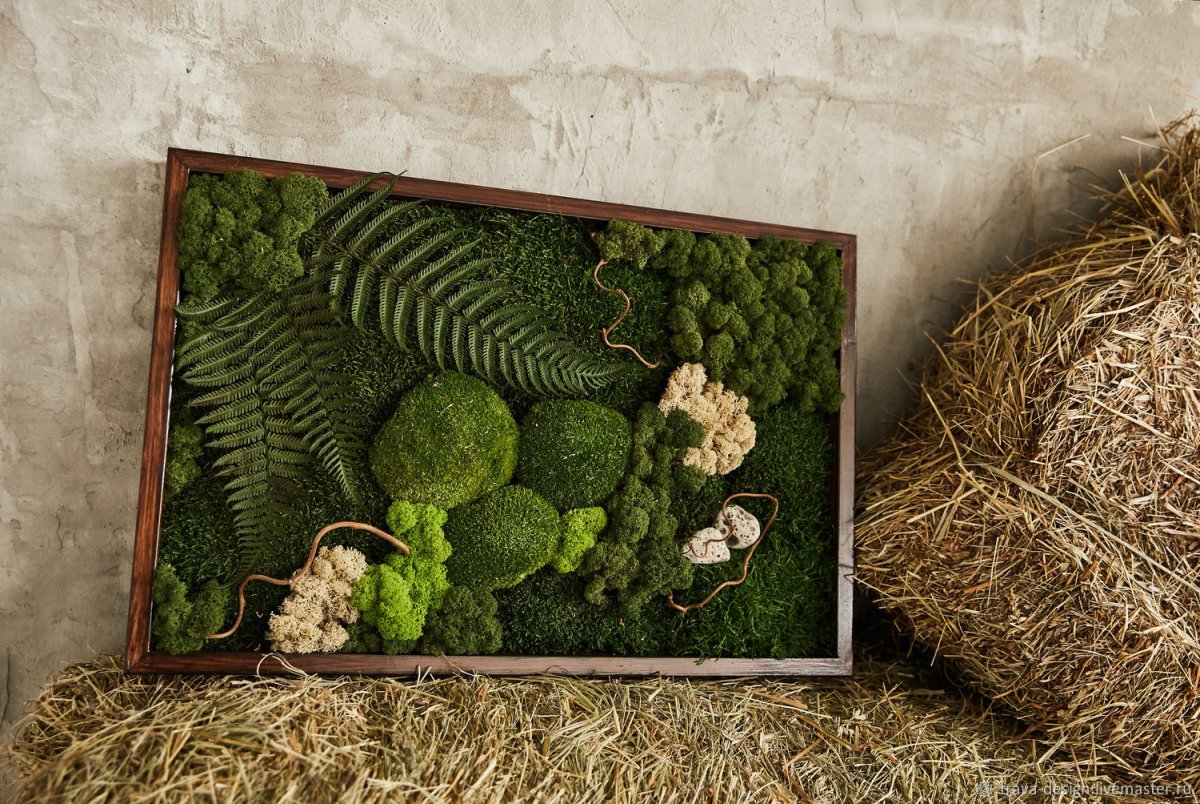 Фитокартина из мха