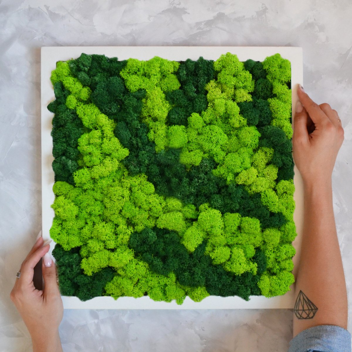 Панно из мха