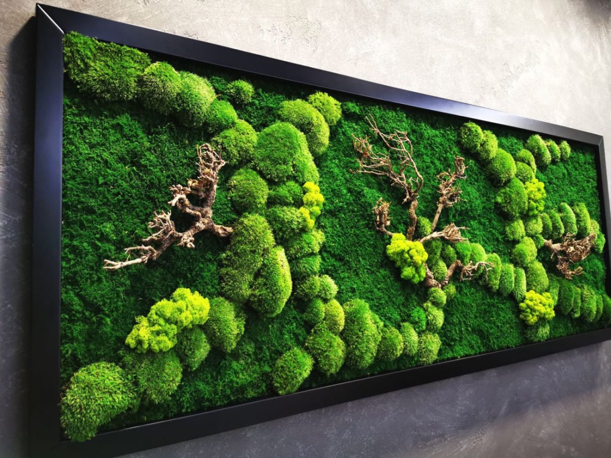 Картины из мха