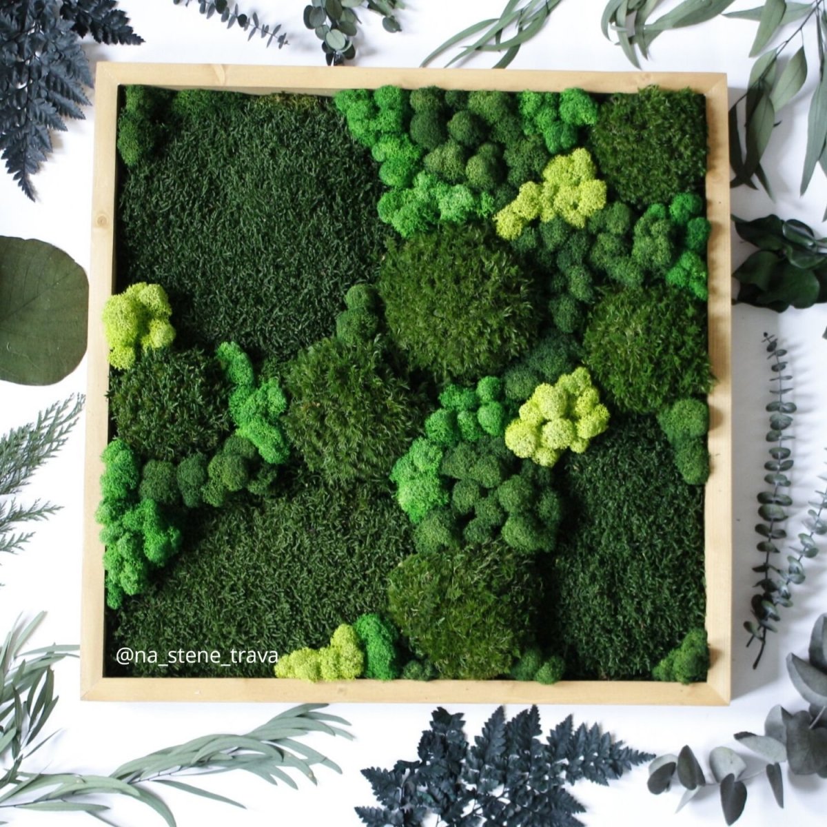 Мох ягель в интерьере