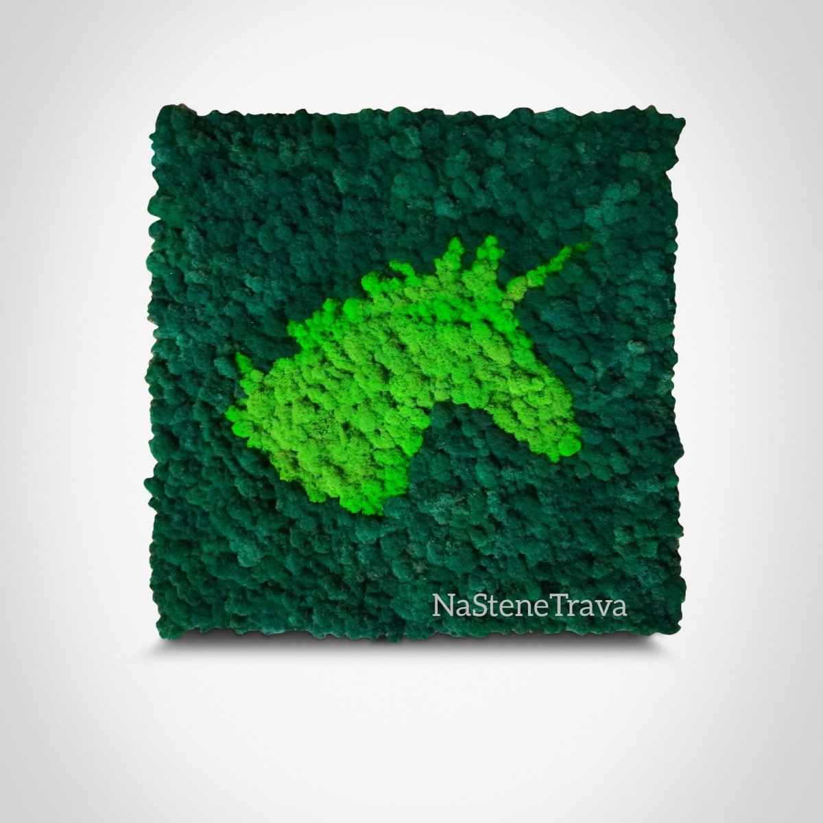 Фитокартина из стабилизированного мха