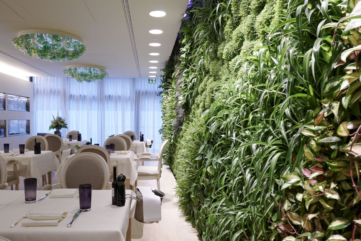 Фитодизайн ресторана