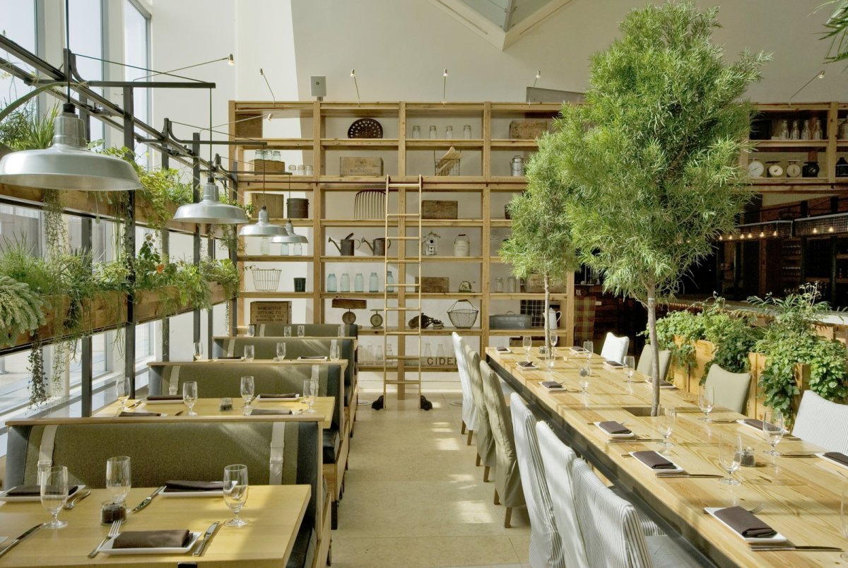 Декоративная зелень для ресторана