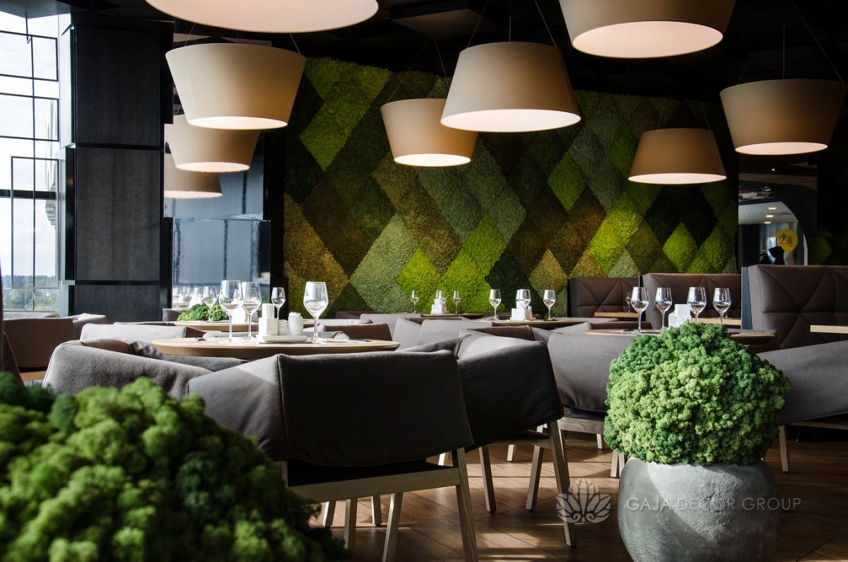 Стабилизированный мох в интерьере кафе
