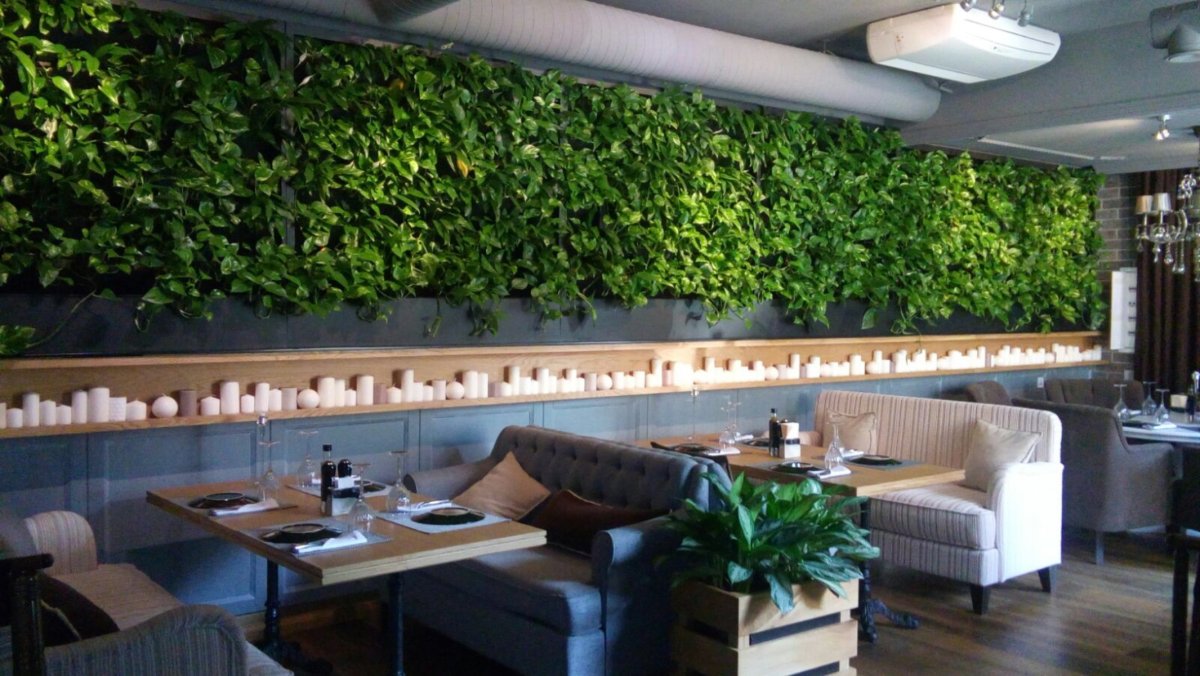 Озеленение кафе и ресторанов