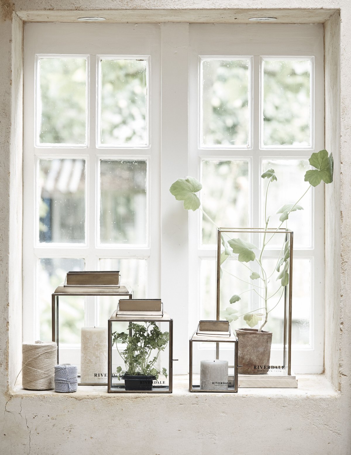 Суккуленты в Сканди интерьере