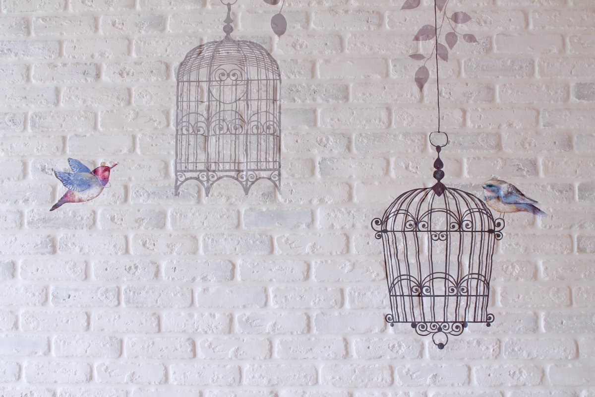 Обои с птичками и клетками