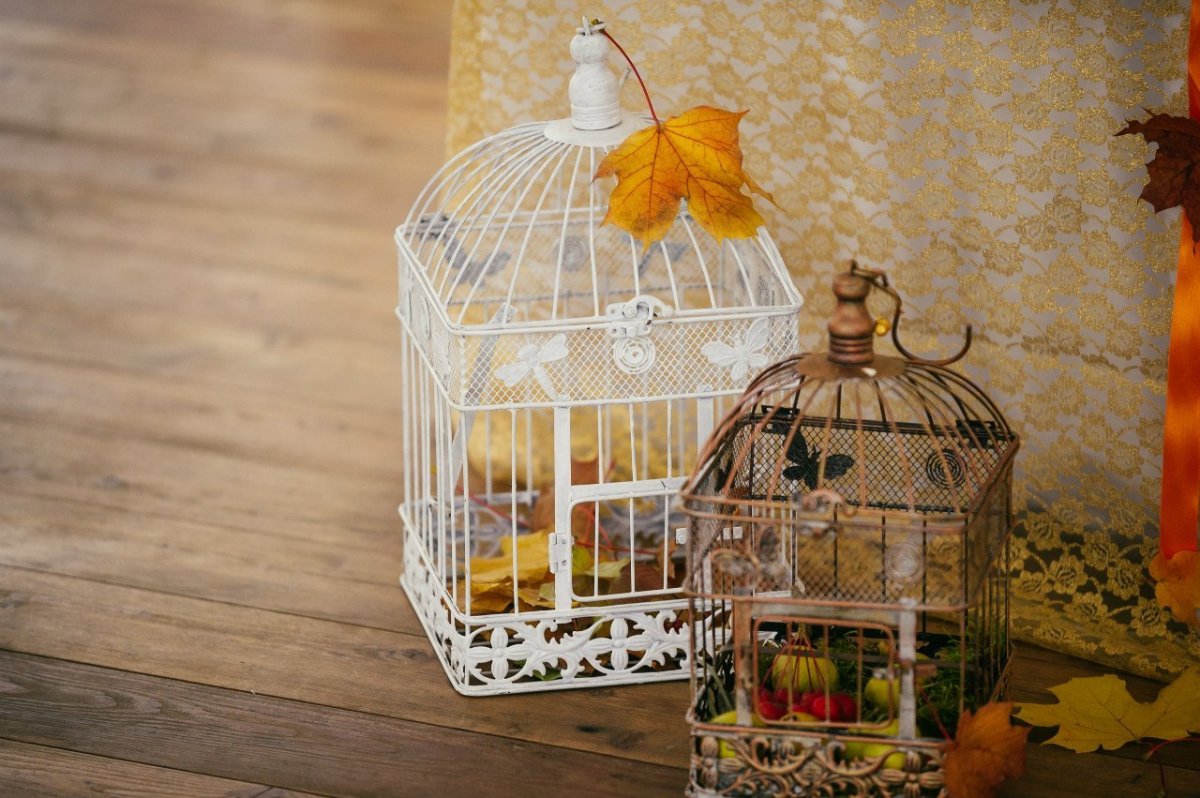 Букет в клетке