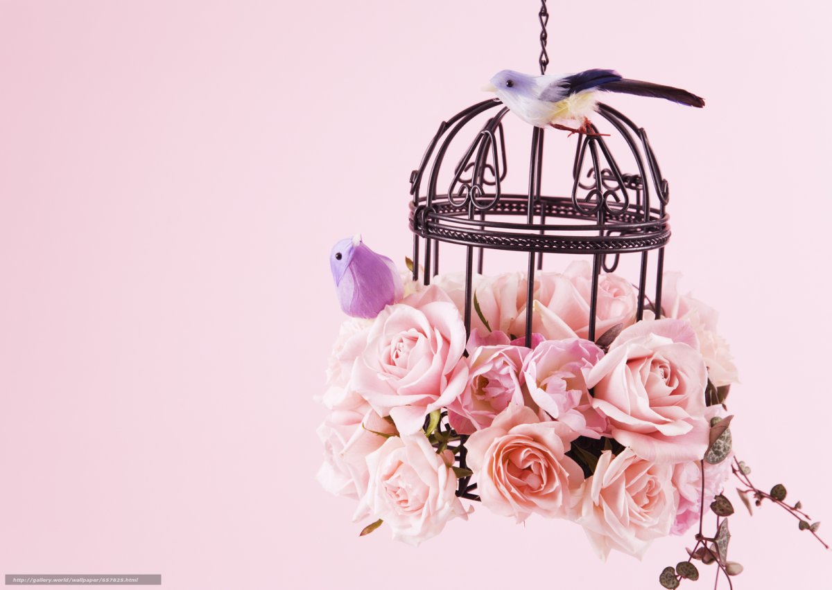 Птичка в клетке вектор