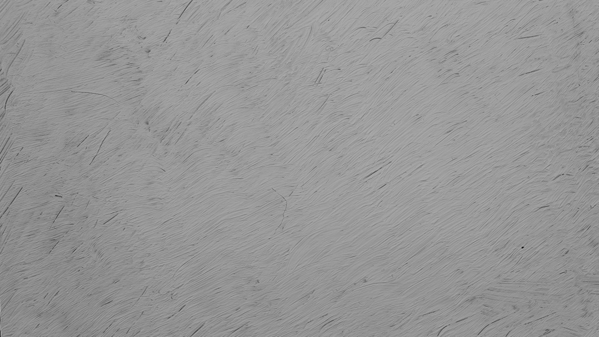 Штукатурка текстура бесшовная