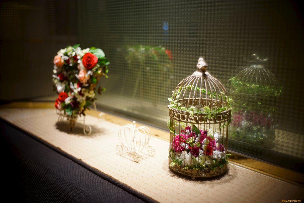 Птица в клетке рисунок грустный