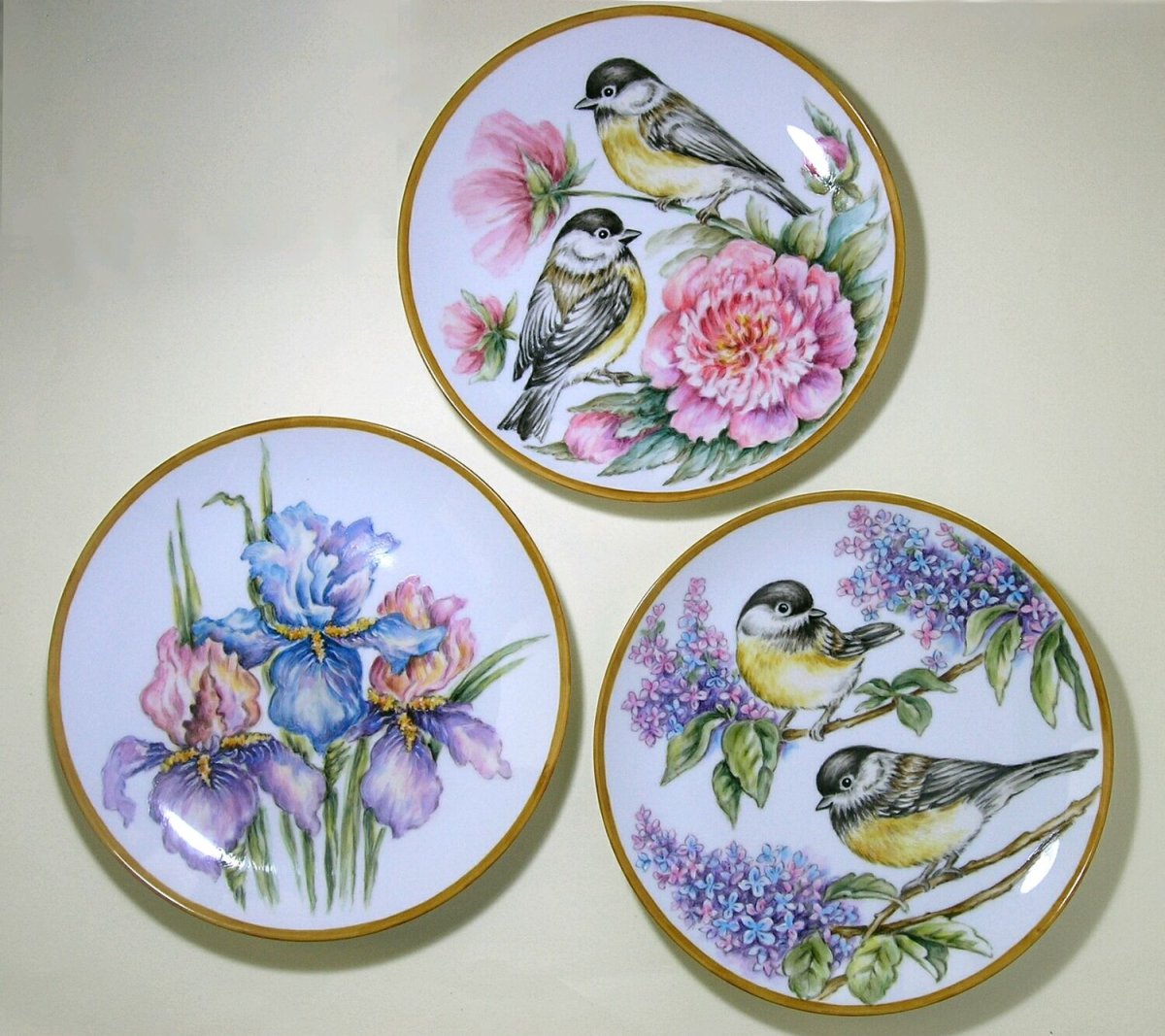 Студия Элис тарелки