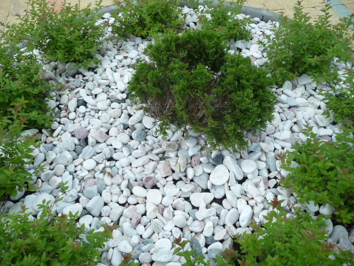 CT 137 минеральная штукатурка «камешковая»