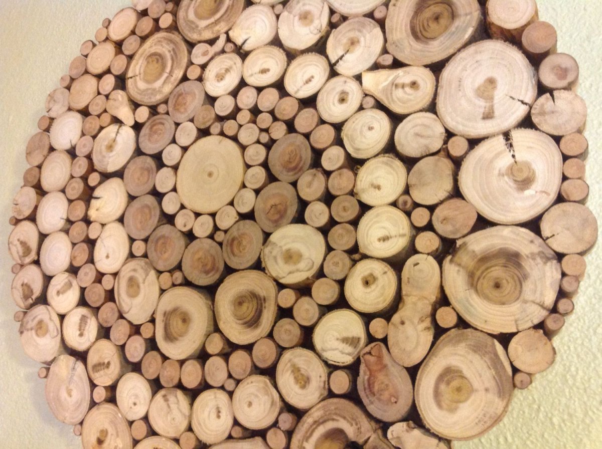 Спилы дерева для декора