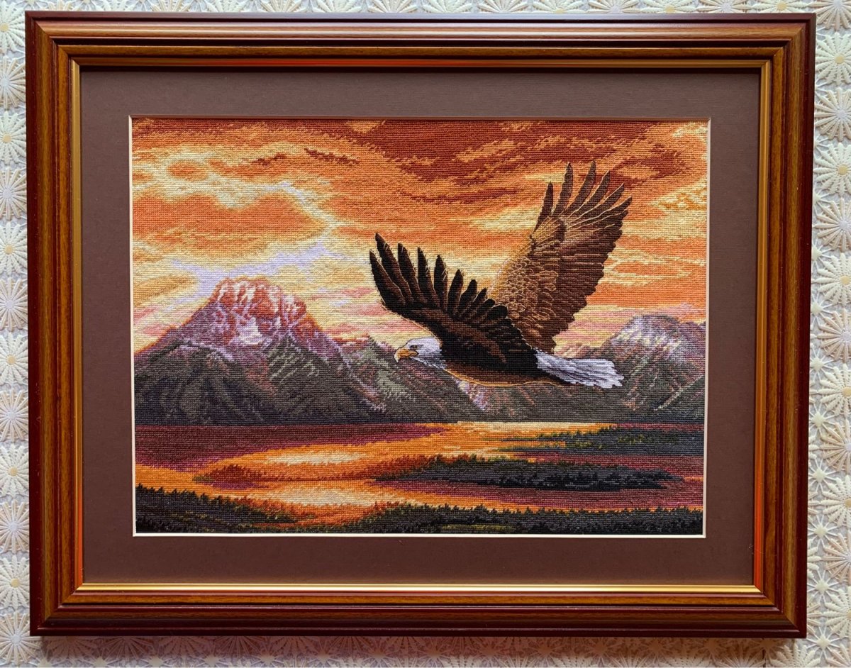 Тихий полет Дименшенс