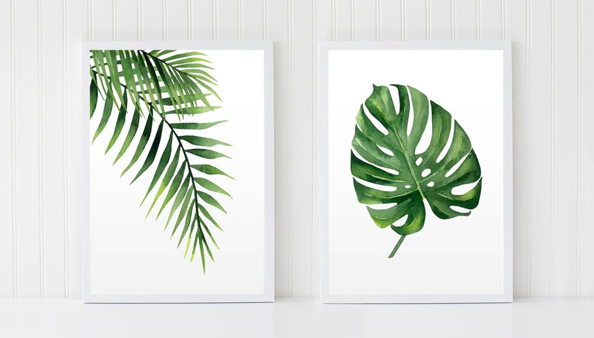 Монстера Пальма тропики листья акварель