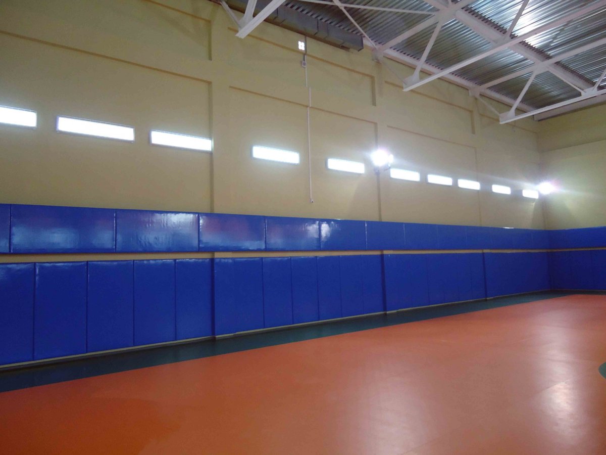 Стеновые протекторы в спортзал школы