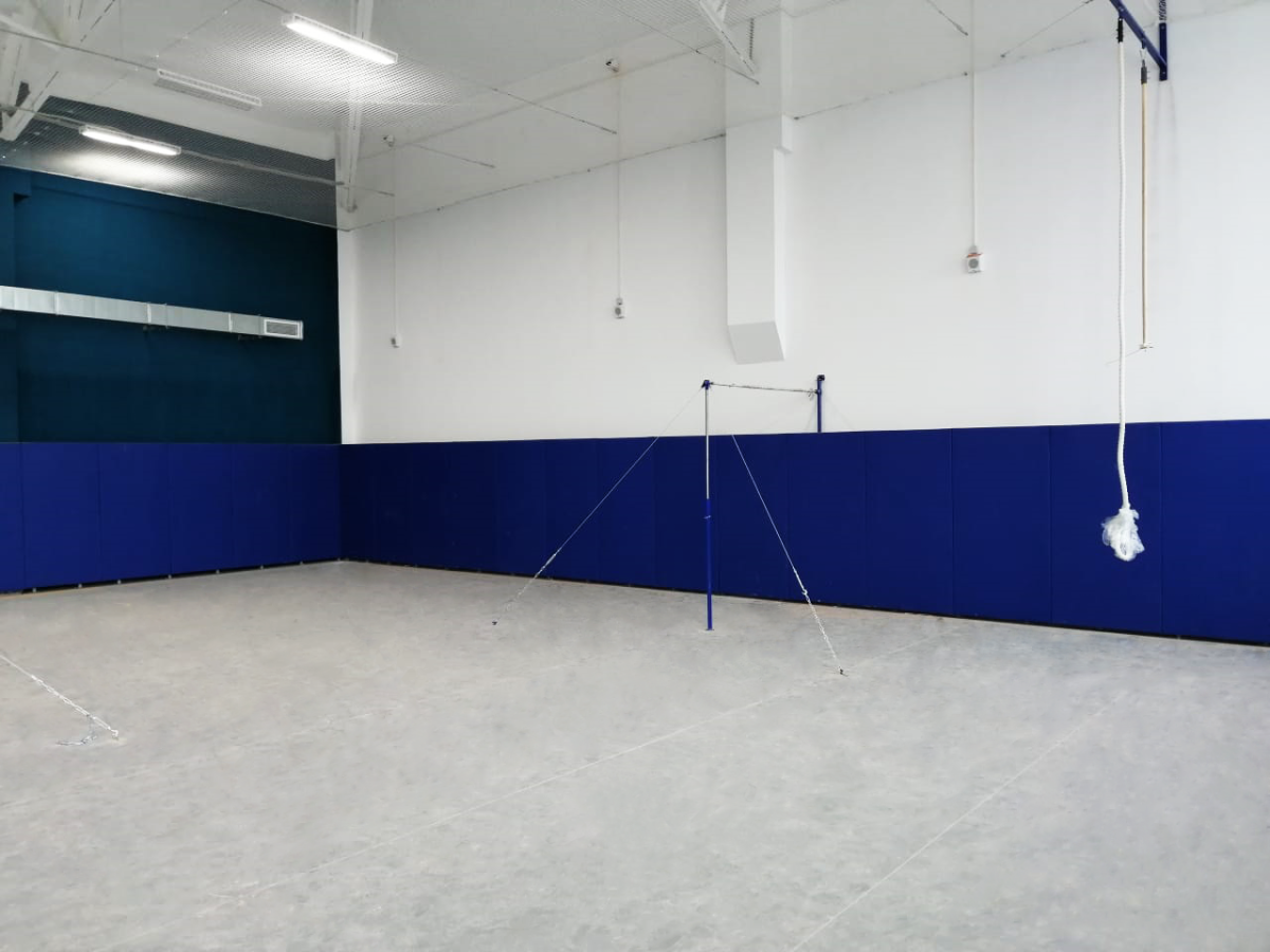 Борцовский ковер, одноцветный