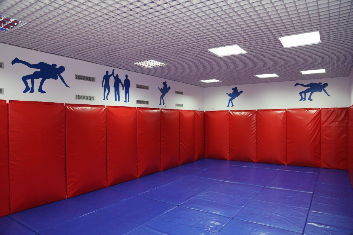 Маты спортивные для спортзалов