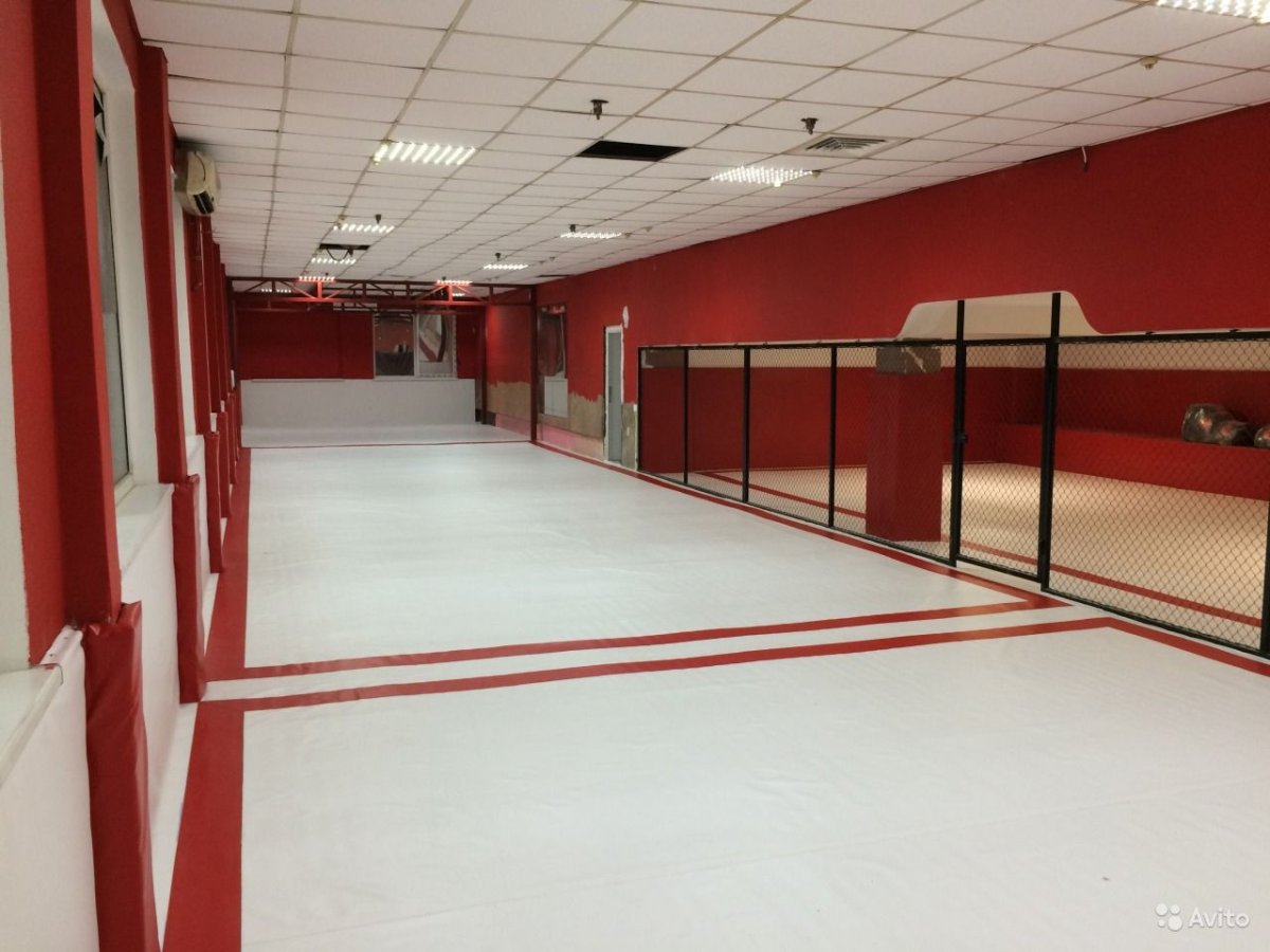 Защита на стены в борцовском зале