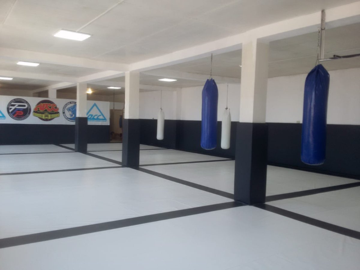 Татами самбо