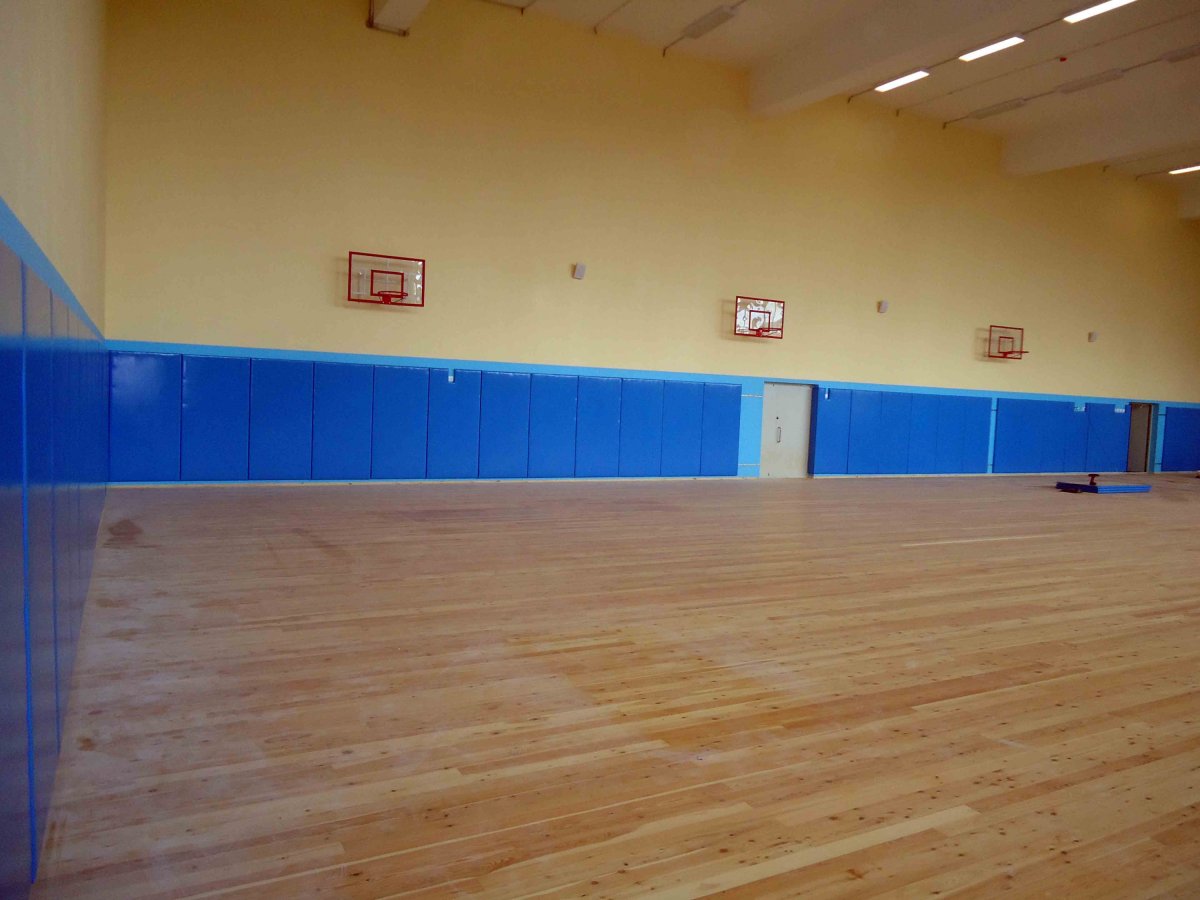 Стеновой протектор для спортивного зала