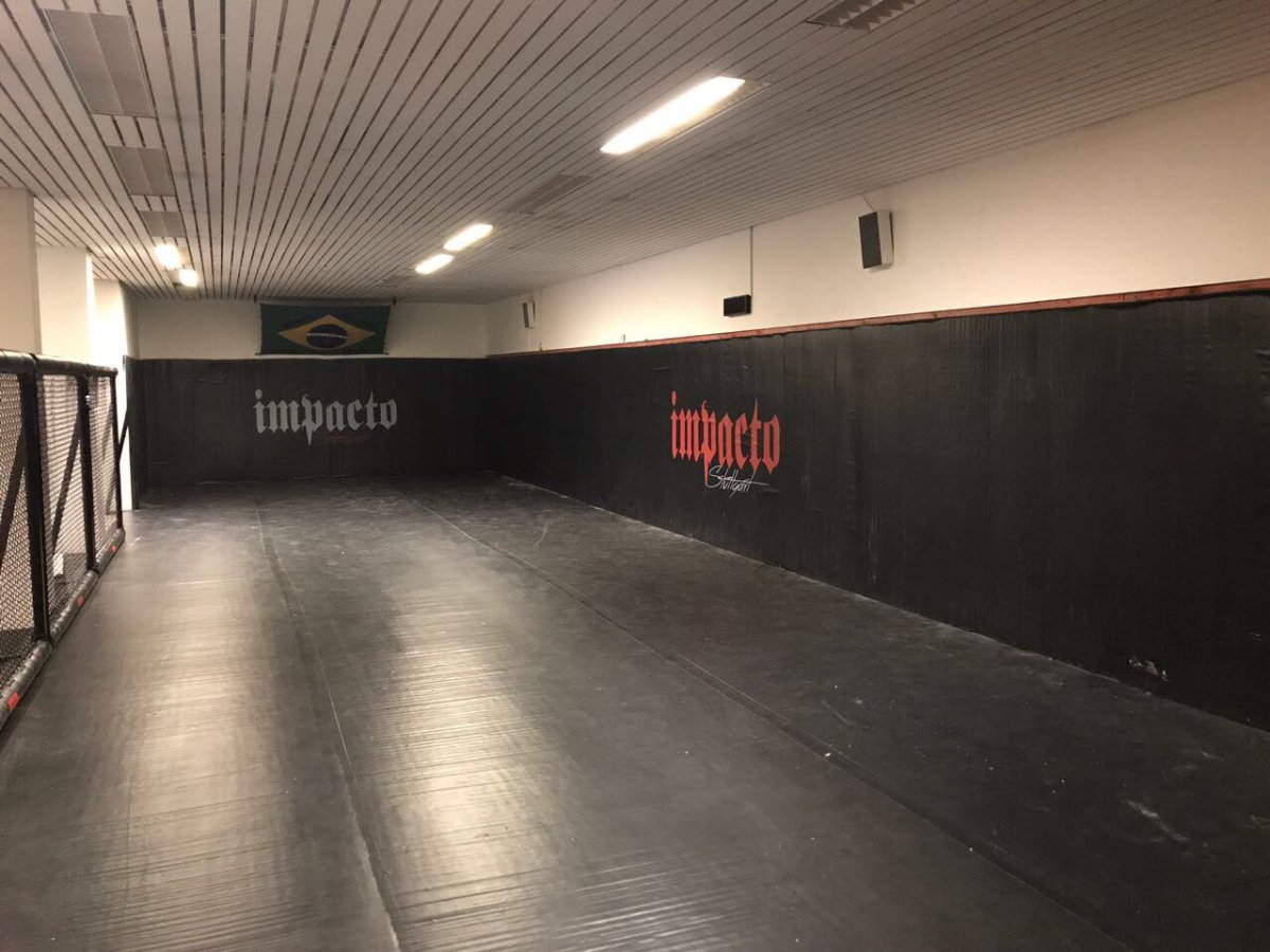 Стеновой протектор для спортивного зала