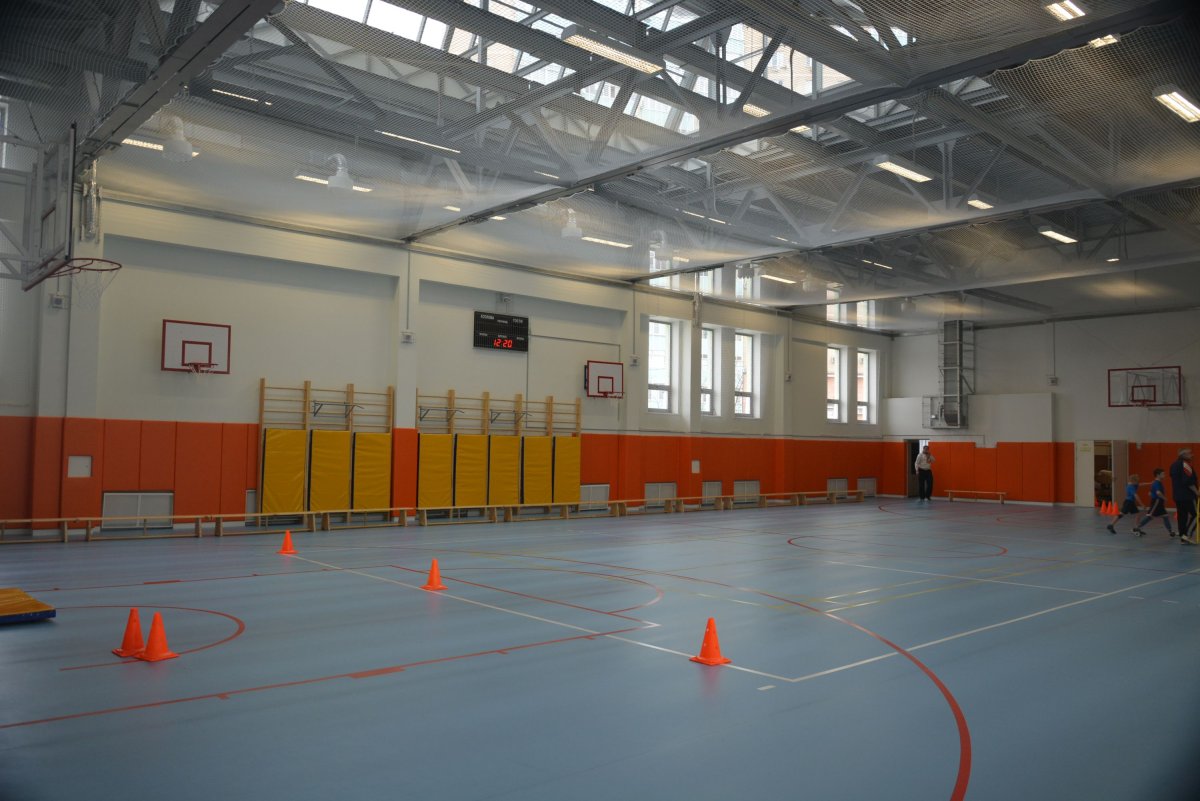 Настенные протекторы для спортзалов