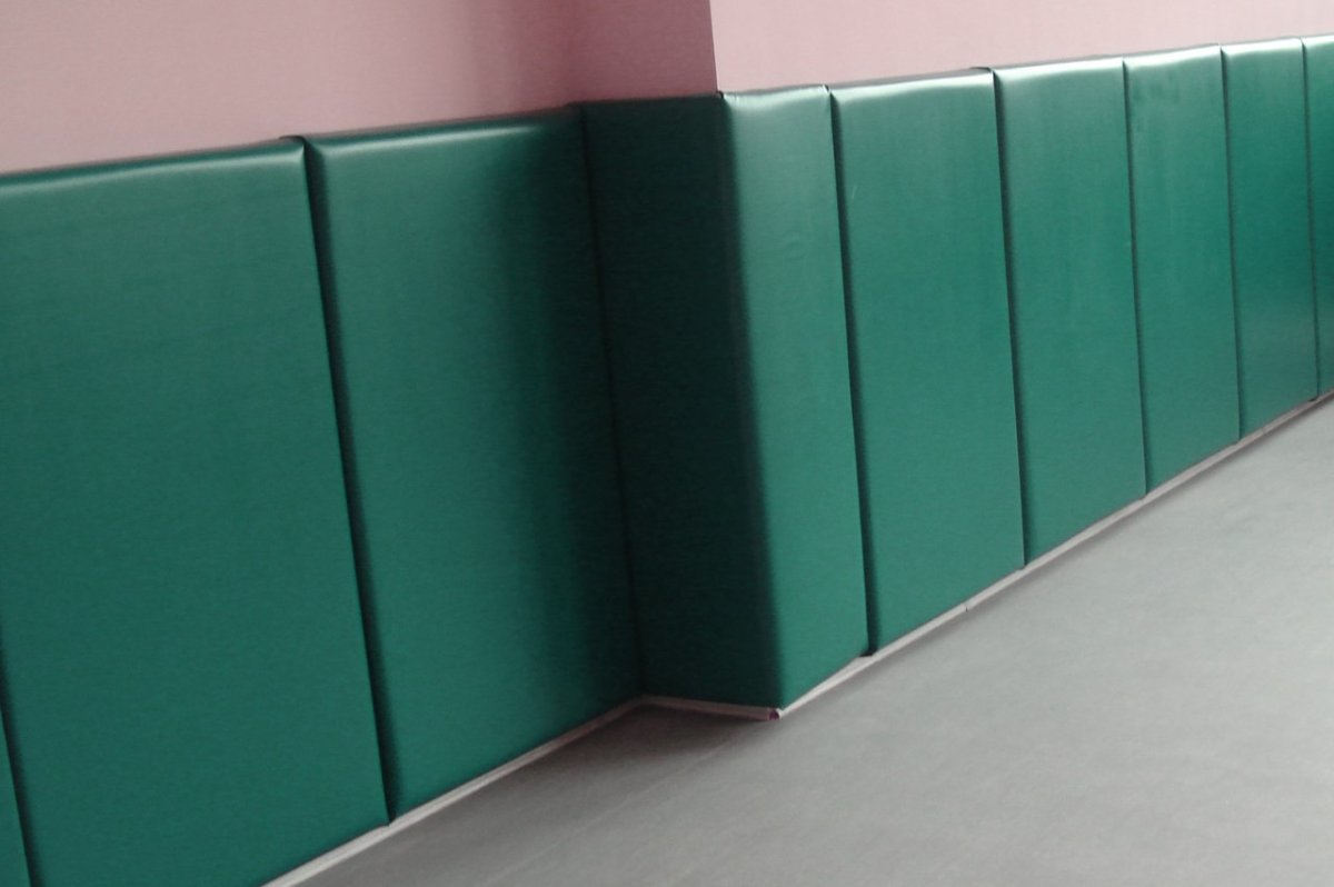 Стеновой протектор для спортивного зала