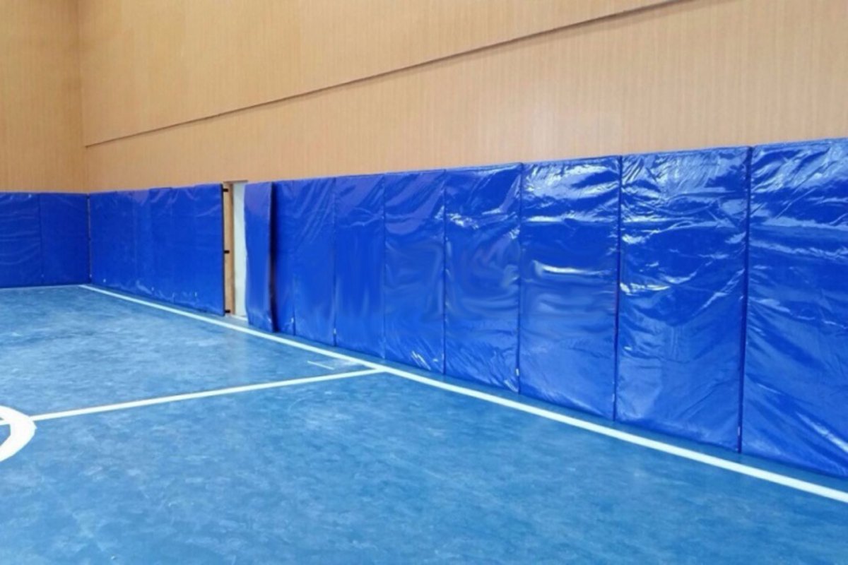 Стеновой протектор 100х200 см