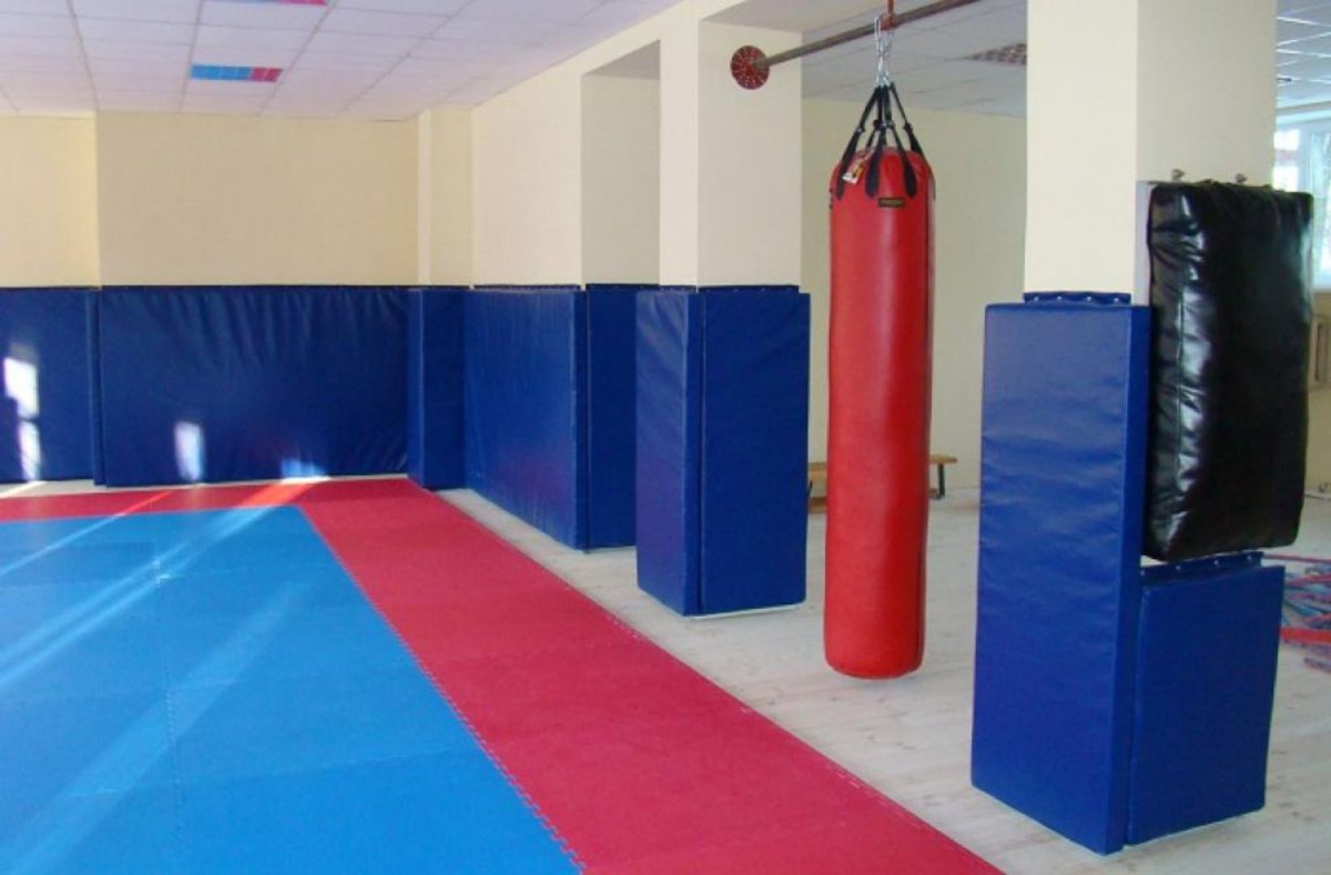 Стеновые протекторы для спортивных залов