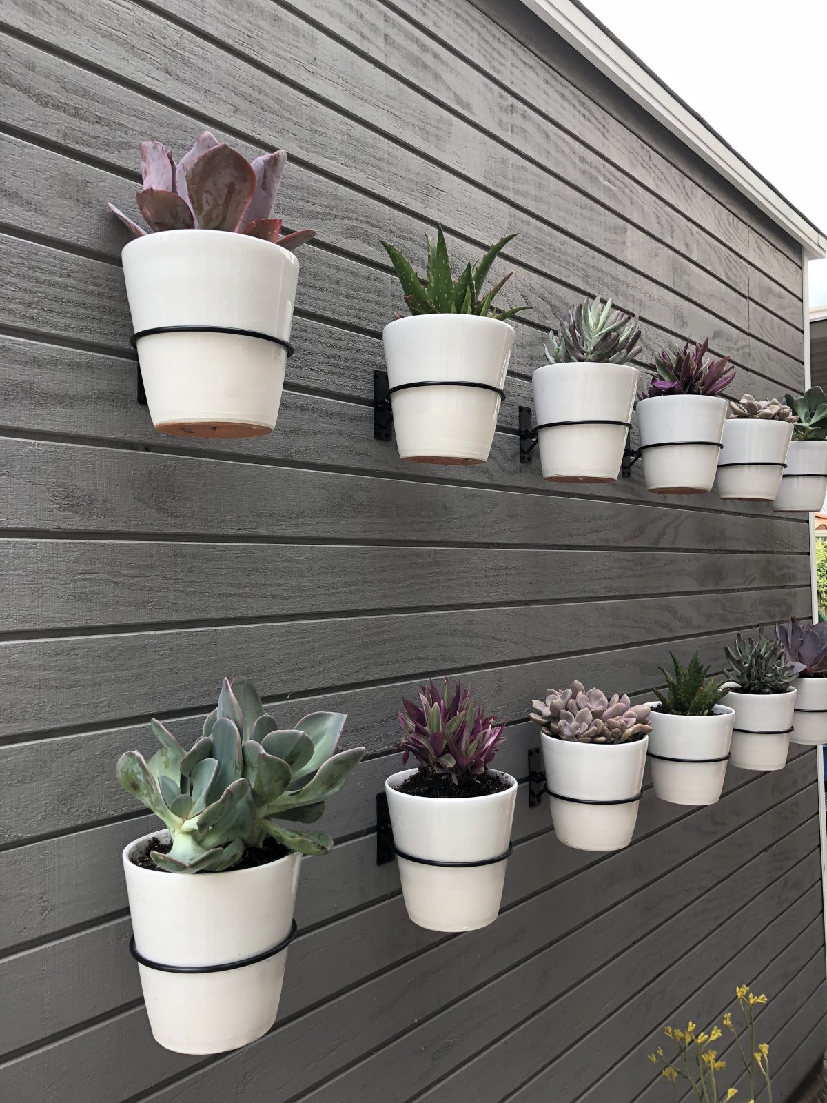 Цветочные горшки на стену