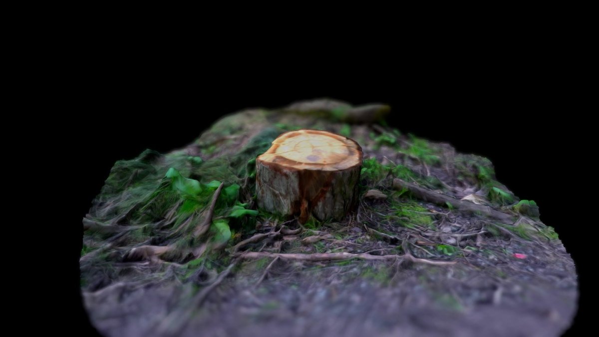 Пеньки в интерьере