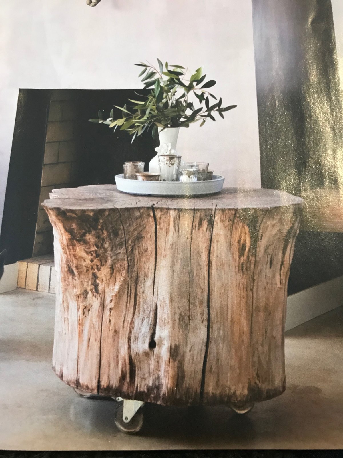 Ракита пень дерева