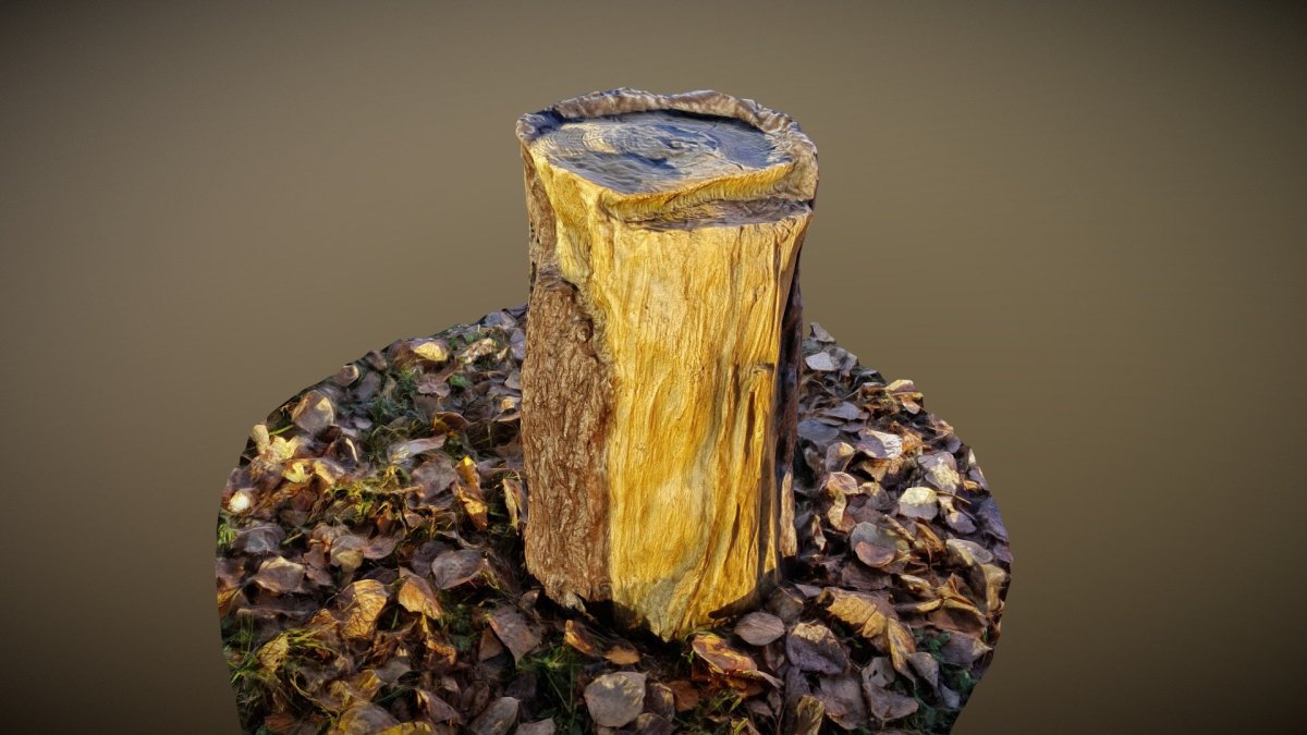 Пни в интерьере сада